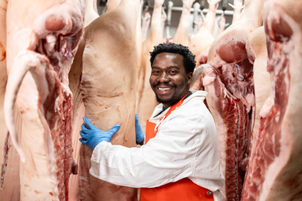 Germany Skilled Work Program – Food Technology